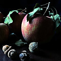 Apples and Acorns