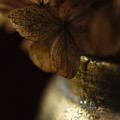Gilded Vase with Dried Hydrangea Flowers by Joy Sussman