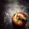 Single Apple on Slate