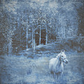 White Horse in a Forest Dream by Joy Sussman